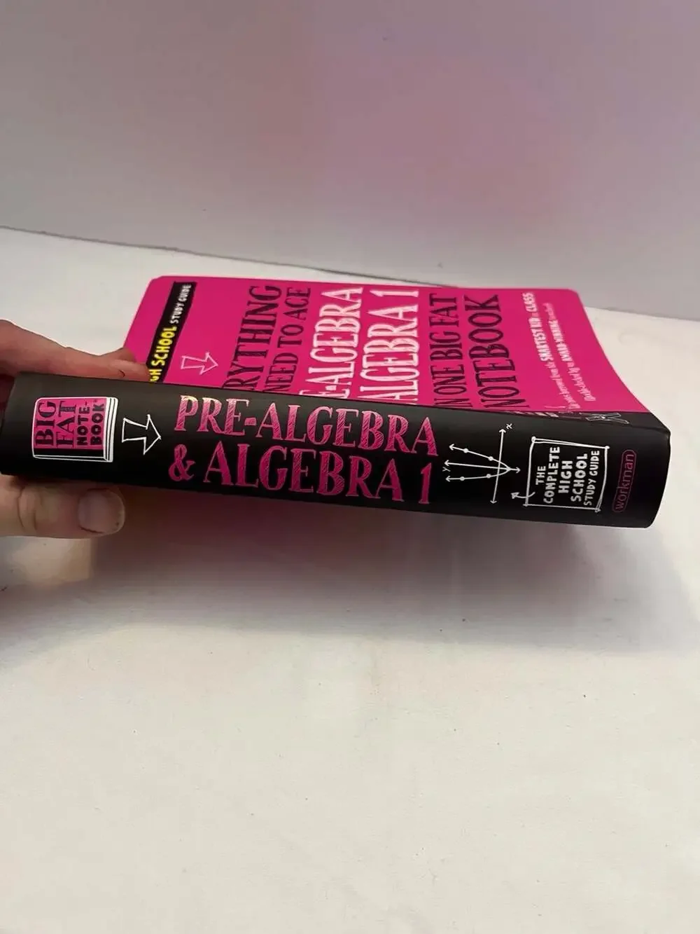 Everything You Need to Ace Pre-Algebra and Algebra 1 in One Big Fat Notebook